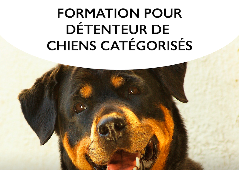 Canisform Center, formation pour détenteur de chiens catégorisés