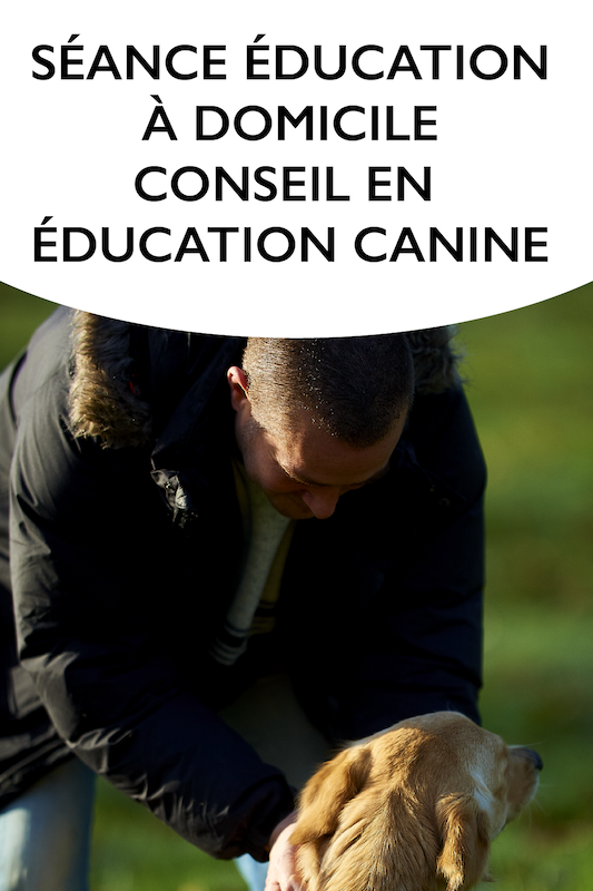 Canisform, éducation à domicile et conseil en éducation canine