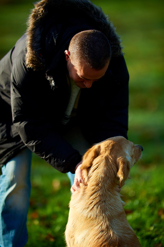 éducation à domicile et conseil en éducation canine